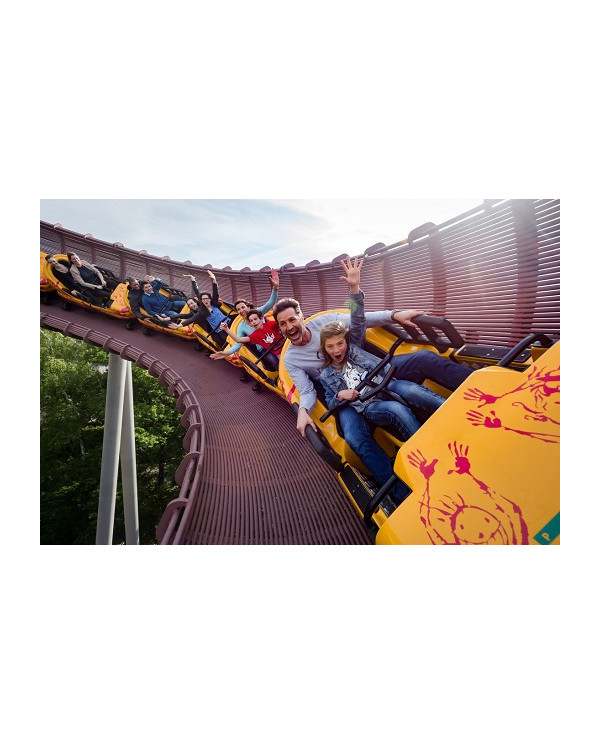 Billet Parc D Attraction Parc Asterix Pas Cher Avec Opale Ce