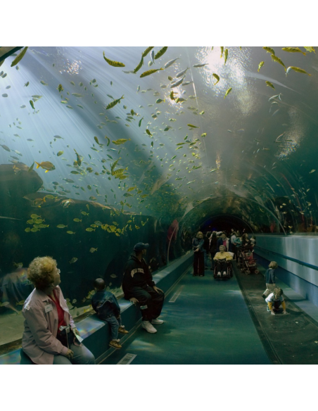 Aquarium de la Rochelle billets pas cher - Opale CE