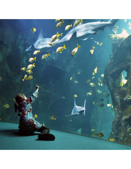 Aquarium de la Rochelle tickets remisés - Opale CE
